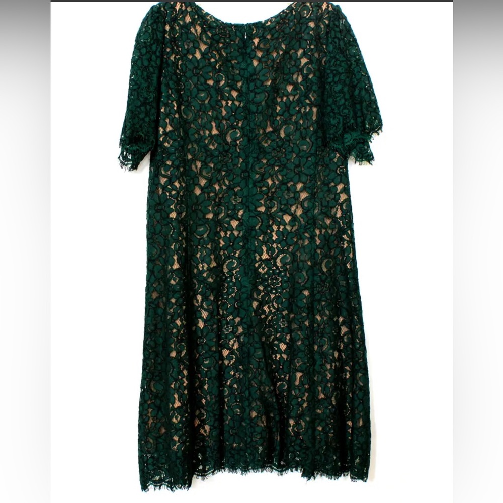 Perfect Emerald Green lace dress